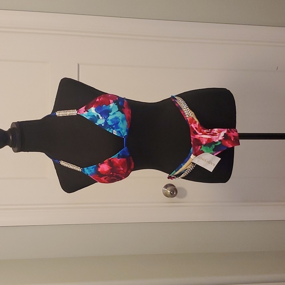 Posing bikini for fitness competition - Picture 1 of 4